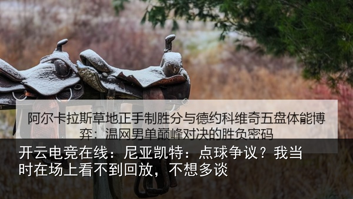 开云电竞在线：尼亚凯特：点球争议？我当时在场上看不到回放，不想多谈