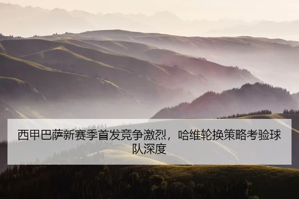 xi-jia-ba-sa-xin-sai-ji-shou-fa-jing-zheng-ji-lie-ha-wei-lun-huan-ce-lve-kao-yan-qiu-dui-shen-du-2-631.jpg
