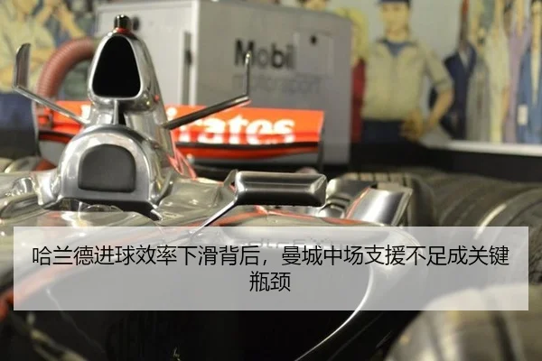 ha-lan-de-jin-qiu-xiao-lv-xia-hua-bei-hou-man-cheng-zhong-chang-zhi-yuan-bu-zu-cheng-guan-jian-ping-jing-2-257.jpg