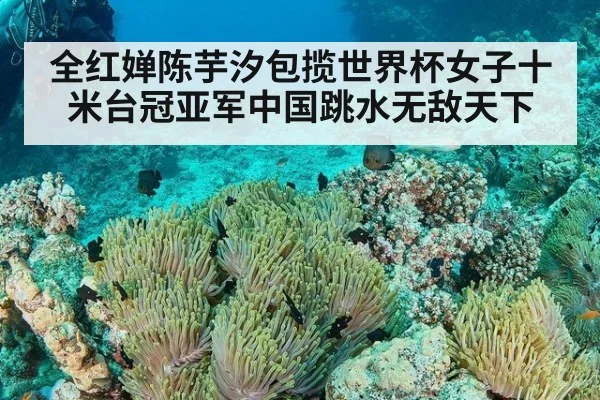 全红婵陈芋汐包揽世界杯女子十米台冠亚军中国跳水无敌天下