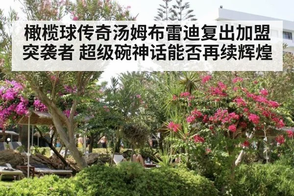 橄榄球传奇汤姆布雷迪复出加盟突袭者 超级碗神话能否再续辉煌